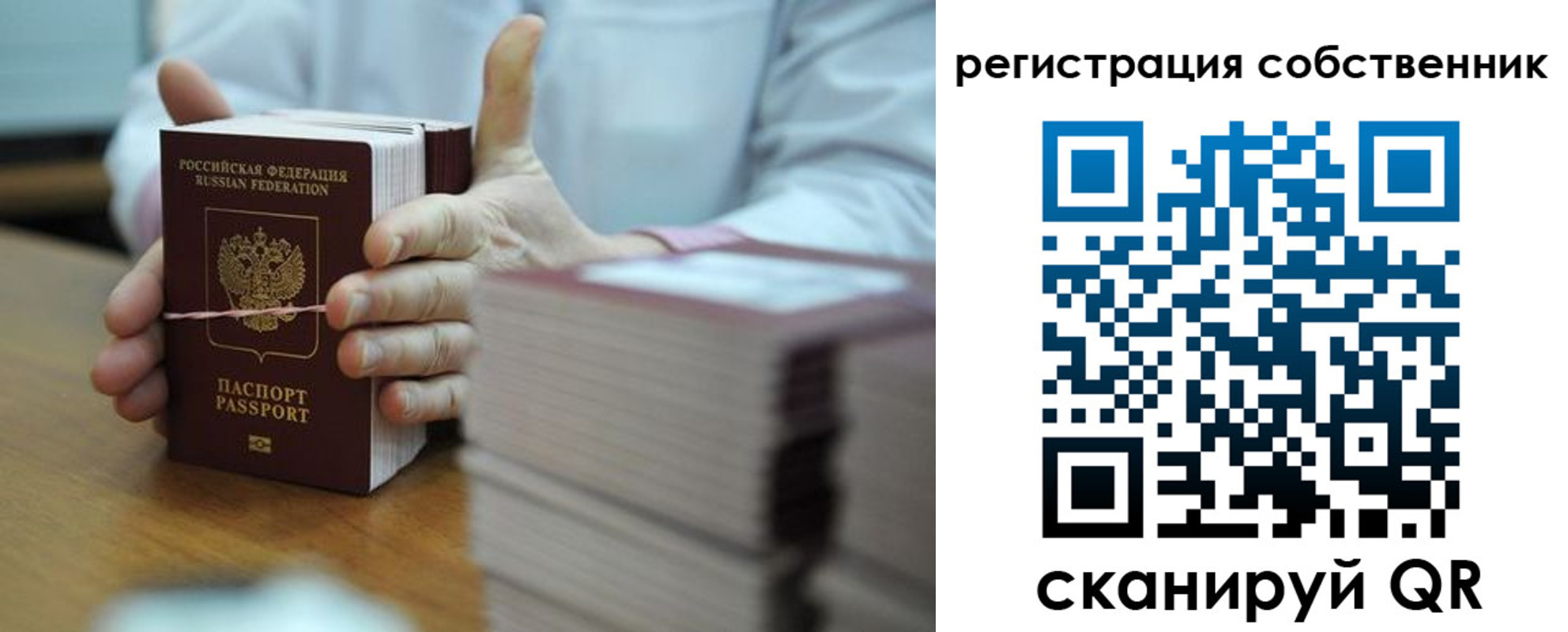 временная регистрация гарантия в Михайловке